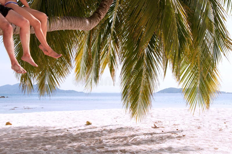Beine von den Paaren, die auf Palme auf einer Paradiesinsel sitzen lizenzfreies stockbild Beine von den Paaren, die auf Palme auf einer Paradiesinsel sitzen lizenzfreies stockbild