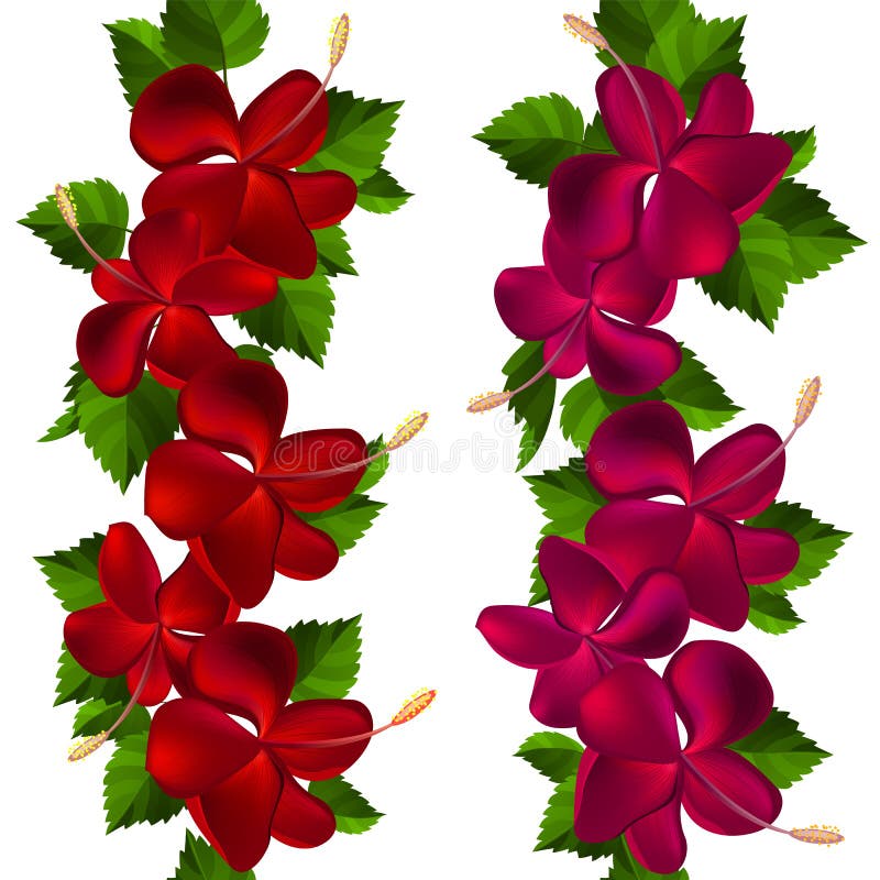 Beira de Samless feita de flores do hibiscus ilustração royalty free Beira de Samless feita de flores do hibiscus ilustração royalty free