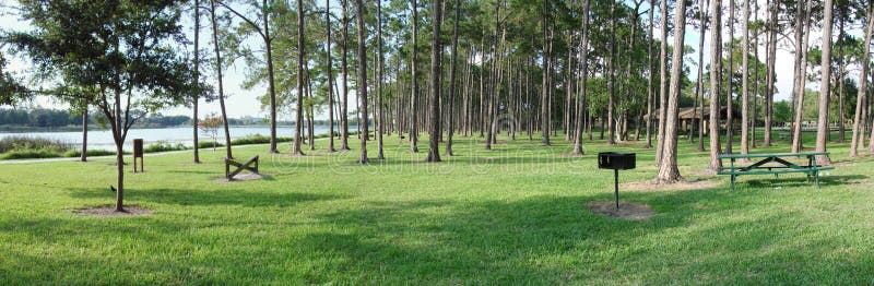 Panoramic of a park and trees by the lakeside in Florida. Panoramic of a park and trees by the lakeside in Florida.