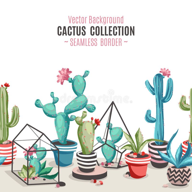 Cactos Em Um Potenciômetro De Flor Planta Da Casa - Cacto Imagem Linear Dos  Cactos Para Colorir Ilustração do Vetor - Ilustração de flor,  potenciômetros: 136493211