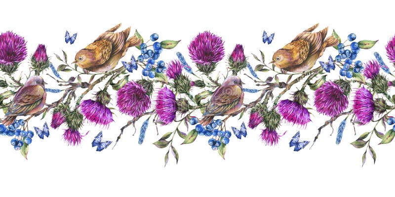 Beira seqamless da aquarela com pares de p?ssaros em um ramo, cardo, bagas ilustração do vetor Beira seqamless da aquarela com pares de p?ssaros em um ramo, cardo, bagas ilustração do vetor