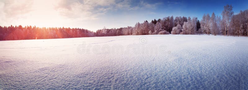 Bel arbre dans le paysage d'hiver dans fin de soirée photographie stock libre de droits Bel arbre dans le paysage d'hiver dans fin de soirée photographie stock libre de droits