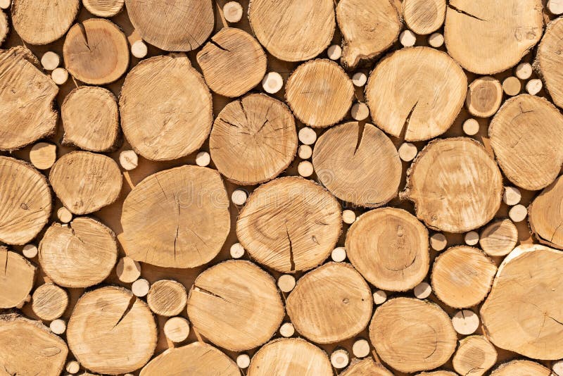 Bel cięcia zamknięci w górę Sterta Bele z bliska Bel ci?cia przygotowywaj?cy dla graby woodpile Zobaczył cięcie projekta teksturę zdjęcia stock Bel cięcia zamknięci w górę Sterta Bele z bliska Bel ci?cia przygotowywaj?cy dla graby woodpile Zobaczył cięcie projekta teksturę zdjęcia stock