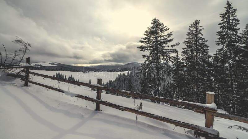 Bel hiver dans la campagne, montagnes carpathiennes banque de vidéos