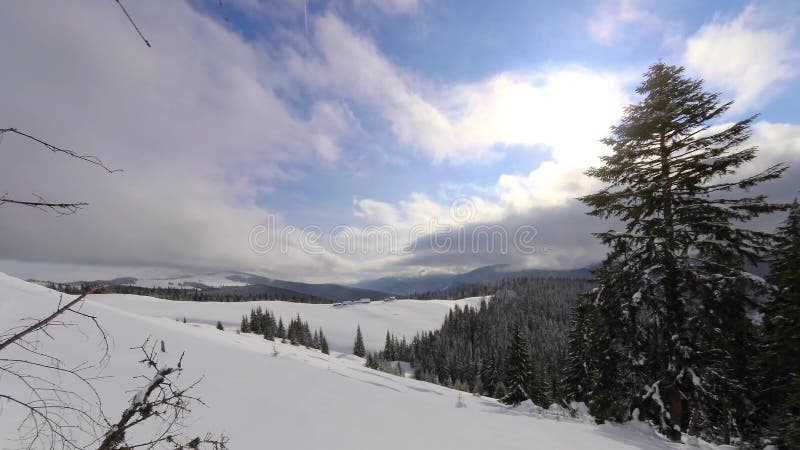 Bel hiver dans la campagne, montagnes carpathiennes banque de vidéos