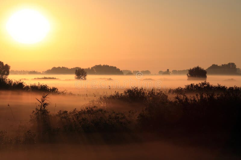 Beautiful landscape in the foggy morning and sun beam. Beautiful landscape in the foggy morning and sun beam