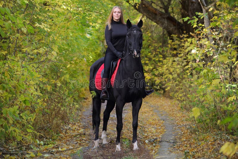 Garota Equestre Pulando Obstáculo Com Cavalo Cinza-maçã Imagem de