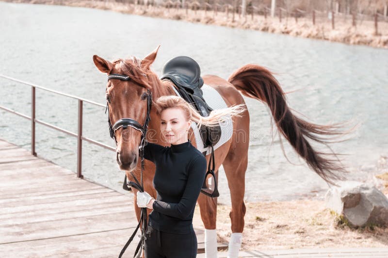 Mulher E Cavalo Pulando Uma Cerca Imagem de Stock - Imagem de equestre,  animal: 208048229