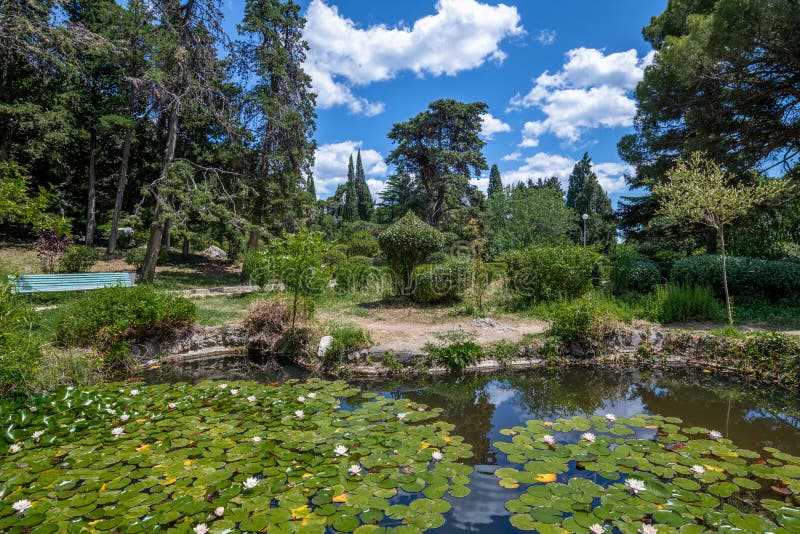 Beautiful nature in Crimea - pond with water lilies in the park. Beautiful nature in Crimea - pond with water lilies in the park