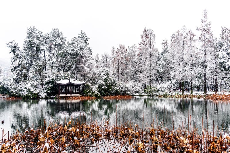 A bela paisagem de inverno da neve do lago oeste de Xihu e pavilhão com jardim em Hangzhou China imagem de stock A bela paisagem de inverno da neve do lago oeste de Xihu e pavilhão com jardim em Hangzhou China imagem de stock