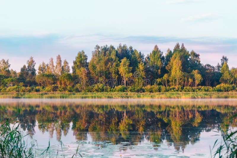 The Belarusian lake against the background of a green forest that reflects on the watery surface in the light of the morning sun royalty free stock photos The Belarusian lake against the background of a green forest that reflects on the watery surface in the light of the morning sun royalty free stock photos