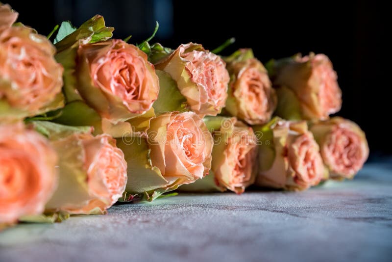 Belas Rosas Em Inglês. Rosas Rosadas Rosas Rosas Lindas, Em Forma De Peão.  Dia Dos Namorados Foto de Stock - Imagem de flor, planta: 244620780