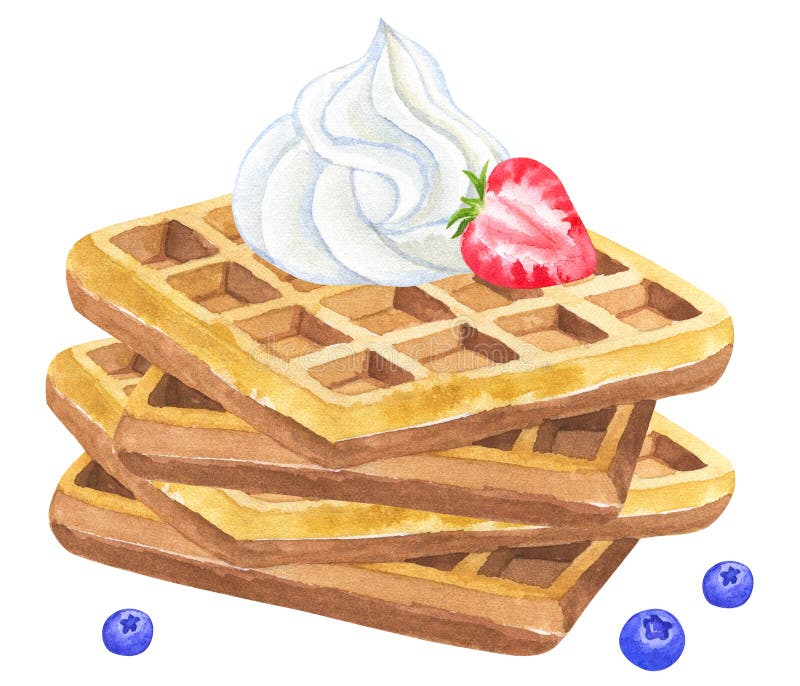 Belgian waffles with whipped cream and strawberry and blackberry. Hand drawn watercolor illustration. Isolated on white.