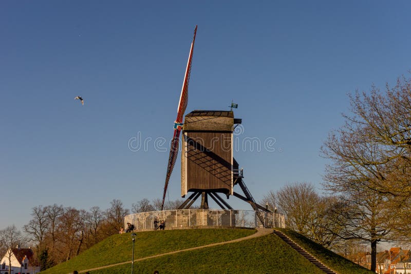 Belgien, Brügge, ein Glockenturm auf ein Gras formulierte Anforderung mit Windmühlen-Insel im Hintergrund durch stockfotos
