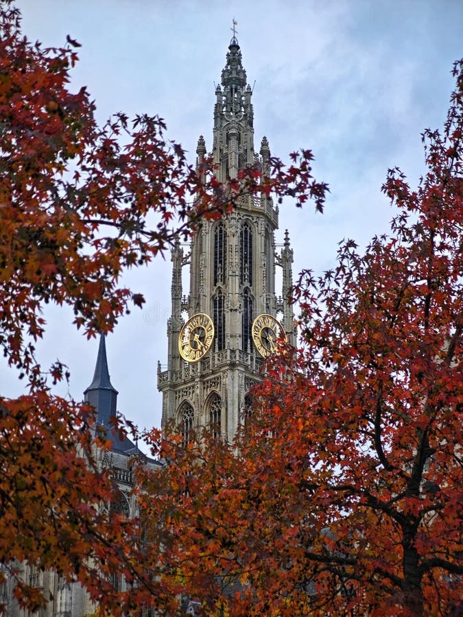 Belgique anvers 21 octobre 2024 : fontaine de brabo médiévale et maisons de guilde anciennes à grote markt anvers belgium image libre de droits