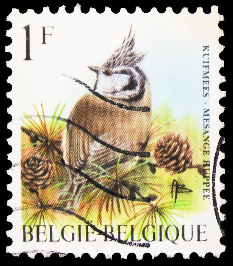In België gedrukt postzegel toont European Crested Tit & x28;Lophophanes cristatus& x29;, Birds of Buzin serie, circa 1998 royalty-vrije stock afbeeldingen In België gedrukt postzegel toont European Crested Tit & x28;Lophophanes cristatus& x29;, Birds of Buzin serie, circa 1998 royalty-vrije stock afbeeldingen