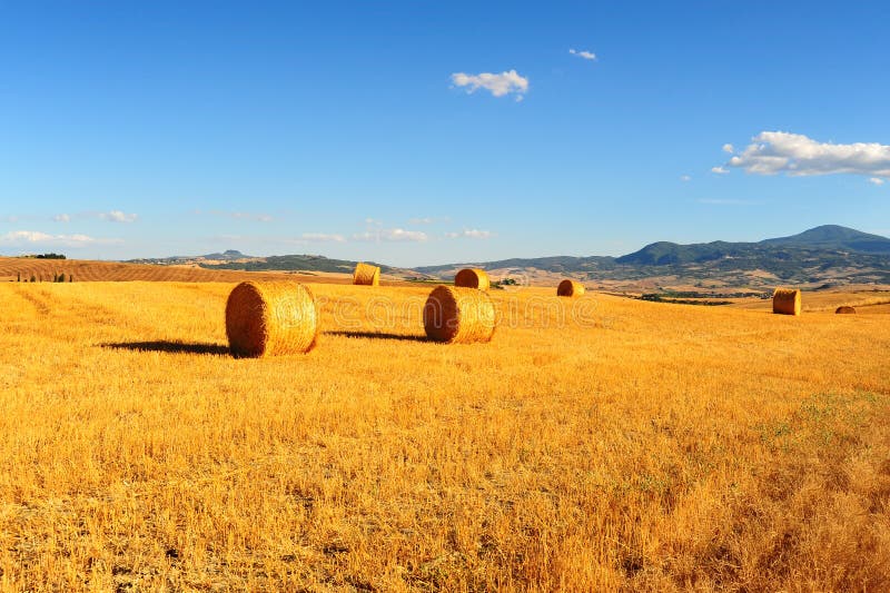 Tuscany Landscape With Many Hay Bales In The Morning. Tuscany Landscape With Many Hay Bales In The Morning