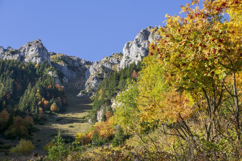 Belianske Tatry na jeseň. Slovensko