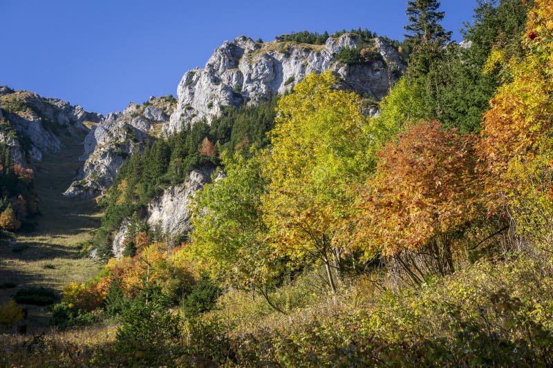 Belianske Tatras in Autumn. Slovakia Stock Photo Image of green