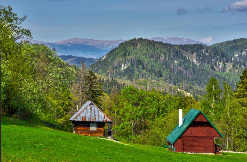 Kucelah na Muránské planině