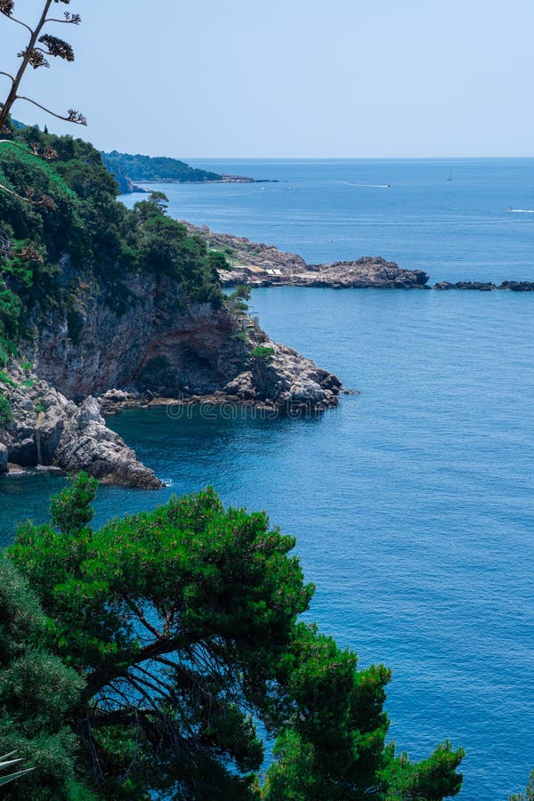 Beautiful Mediterranean Sea With Clear Turquoise Water And Pine Trees Stock  Photo - Image of greece, green: 223913666