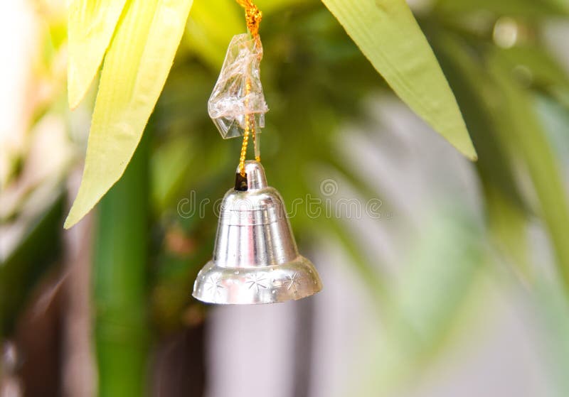 Christmas tree farm stock photo. Image of farm, flora 91146556