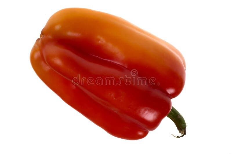 Bell peper