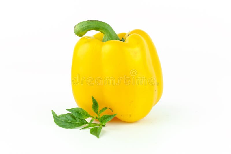 Bell Pepper or Capsicum, Sweet Pepper Stock Photo Image of healthy