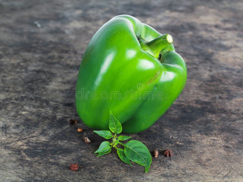 Bell Pepper or Capsicum, Sweet Pepper Stock Photo Image of peper
