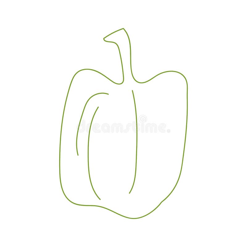 Bell Pepper in Line Art Drawing Style. Linear Sketch Isolated on White