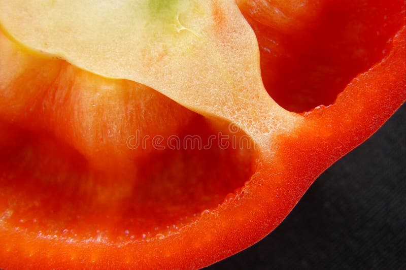 Bell pepper section detail