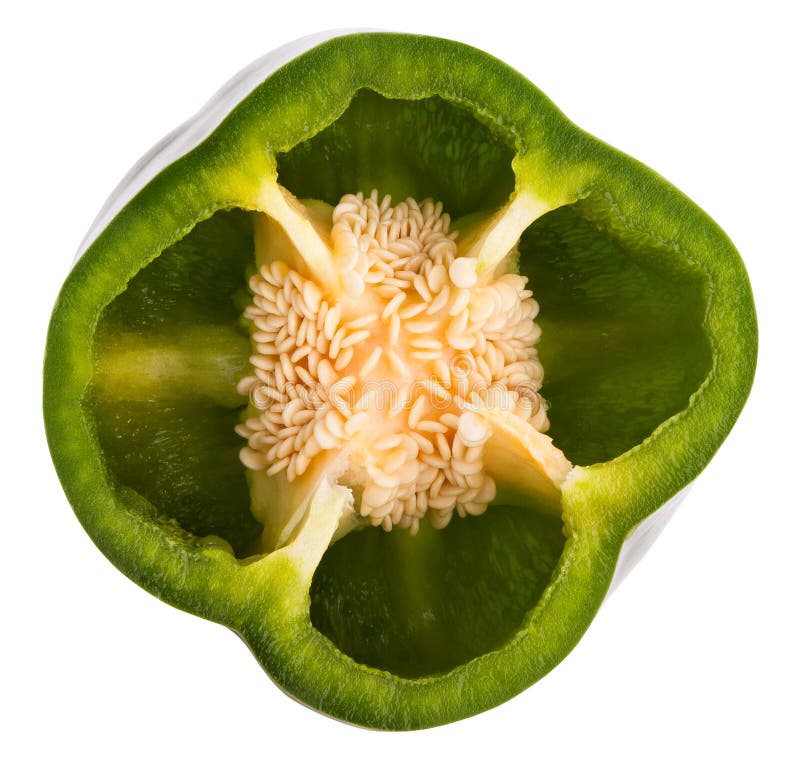 bell pepper