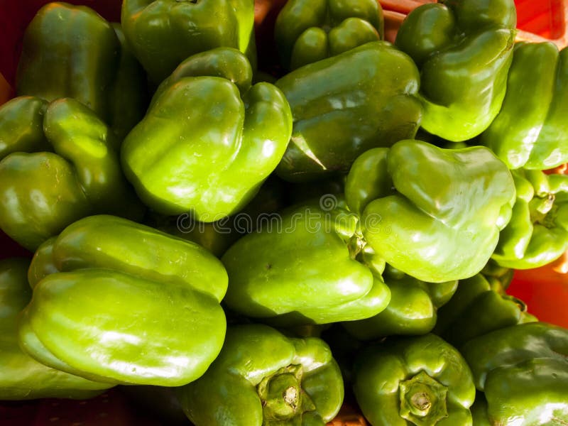 Bell Peppers stock image. Image of farmers, food, veggie 25748343