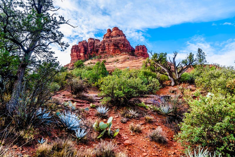 Bell Rock showing Vegetation growing on the Red Rocks and Red Soil in Coconino National Forest near Sedona