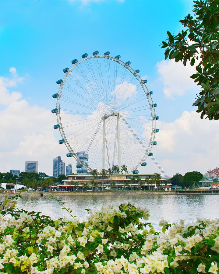 Bella aletta di filatoio di Singapore fotografia stock Bella aletta di filatoio di Singapore fotografia stock