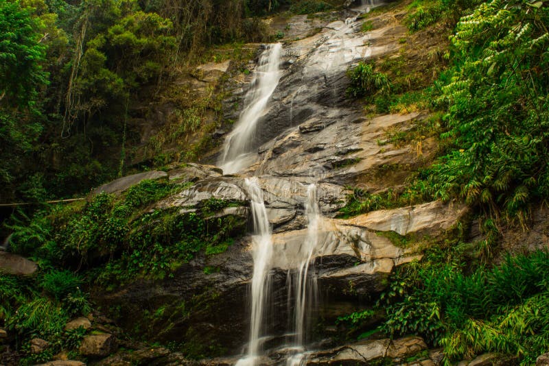 Bella cascata chiamata “Cascatinha Taunayon “sulla natura verde nella foresta pluviale atlantica, Tijuca Forest National Park fotografia stock libera da diritti Bella cascata chiamata “Cascatinha Taunayon “sulla natura verde nella foresta pluviale atlantica, Tijuca Forest National Park fotografia stock libera da diritti