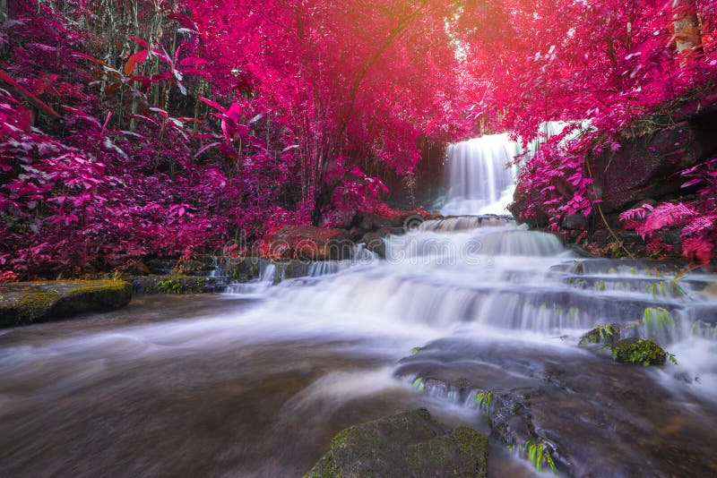 bella cascata in foresta pluviale al phet della montagna del berk della vasca di phu fotografie stock libere da diritti bella cascata in foresta pluviale al phet della montagna del berk della vasca di phu fotografie stock libere da diritti
