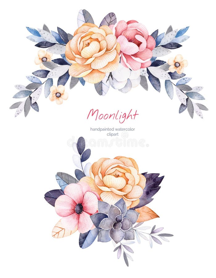 Bella collezione invernale con i rami, piante di cotone, fiori, succulente, foglie variopinte illustrazione di stock
