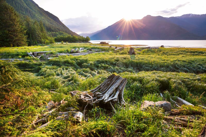 Bella Coola