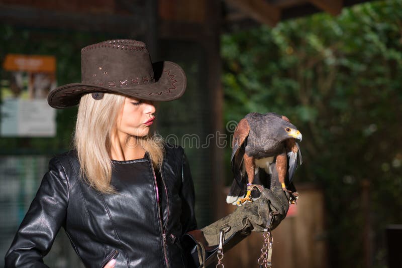 Bella donna bionda che tiene un hawkon di harris un glov protettivo fotografia stock Bella donna bionda che tiene un hawkon di harris un glov protettivo fotografia stock