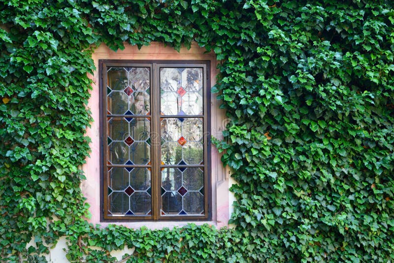 Bella finestra in una parete invasa dall'edera verde fotografie stock libere da diritti Bella finestra in una parete invasa dall'edera verde fotografie stock libere da diritti