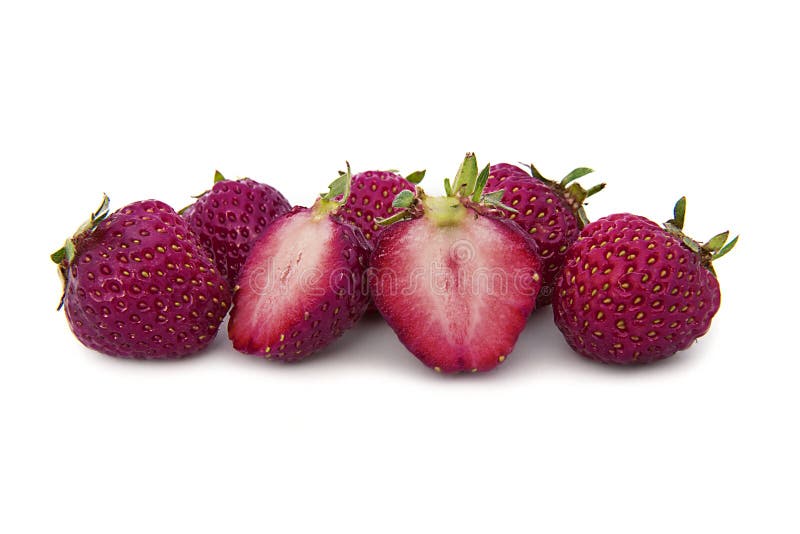 Bella, fragola luminosa matura e grande sui precedenti isolati Lillà dell'isolato, fragola porpora immagini stock Bella, fragola luminosa matura e grande sui precedenti isolati Lillà dell'isolato, fragola porpora immagini stock