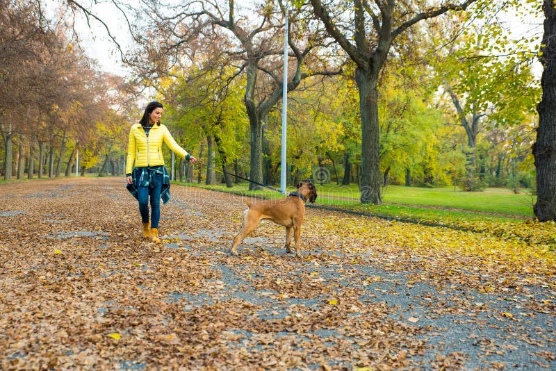 Bella giovane donna con il suo cane nel parco immagini stock libere da diritti Bella giovane donna con il suo cane nel parco immagini stock libere da diritti