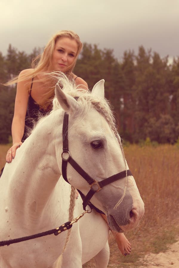 Bella giovane donna con un cavallo fotografie stock Bella giovane donna con un cavallo fotografie stock