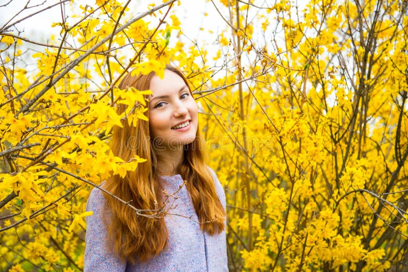 Bella giovane donna dai capelli rossi che sta vicino a Forsythi di fioritura fotografia stock libera da diritti Bella giovane donna dai capelli rossi che sta vicino a Forsythi di fioritura fotografia stock libera da diritti