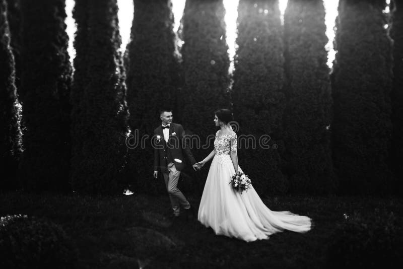 Bella giovane sposa felice che bacia sposo bello nella parità soleggiata immagine stock libera da diritti Bella giovane sposa felice che bacia sposo bello nella parità soleggiata immagine stock libera da diritti