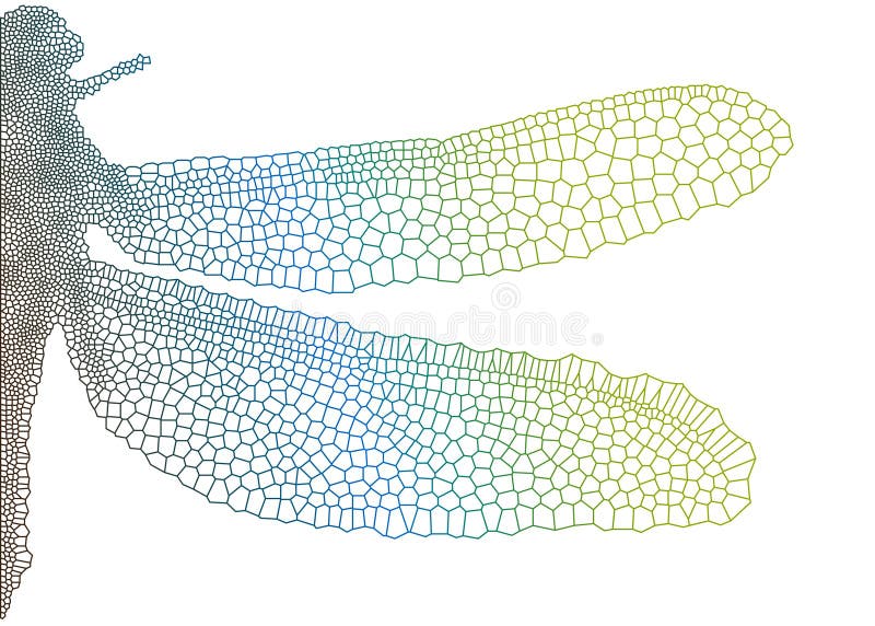 Bella libellula illustrazione vettoriale Bella libellula illustrazione vettoriale
