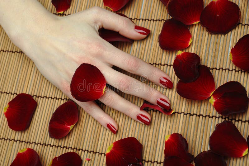 Beautiful hand with perfect nail red manicure and rose petals. Beautiful hand with perfect nail red manicure and rose petals.