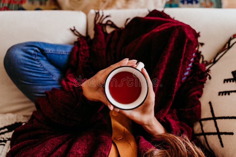 Bella mujer sentada en el sofá, disfrutando de una taza de té lindo perro de recuperación de oro además de estilo de vida interio fotos de archivo libres de regalías
