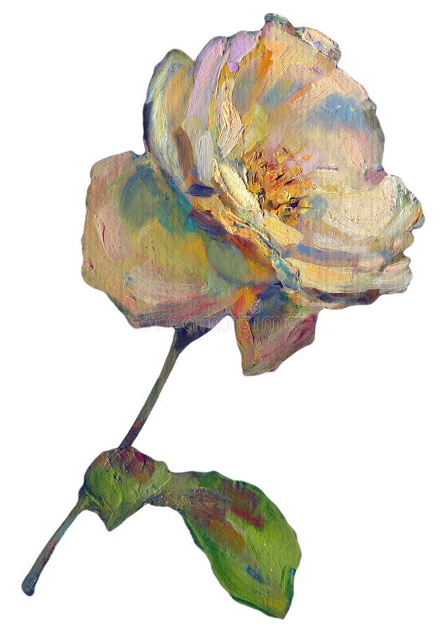 Bella Rose Flower arancio giallo-chiaro variopinta su fondo bianco Illustrazione della pittura a olio illustrazione di stock Bella Rose Flower arancio giallo-chiaro variopinta su fondo bianco Illustrazione della pittura a olio illustrazione di stock
